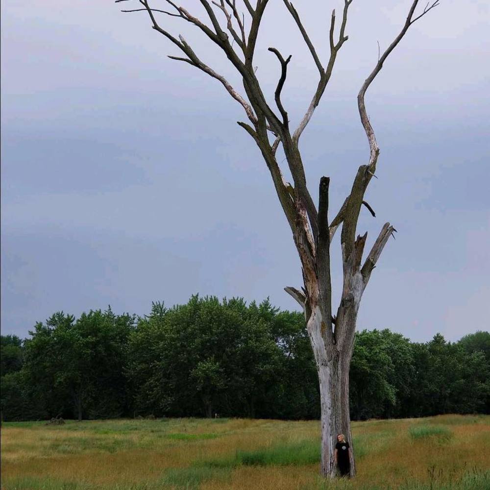 Meet your Posher, Marfa